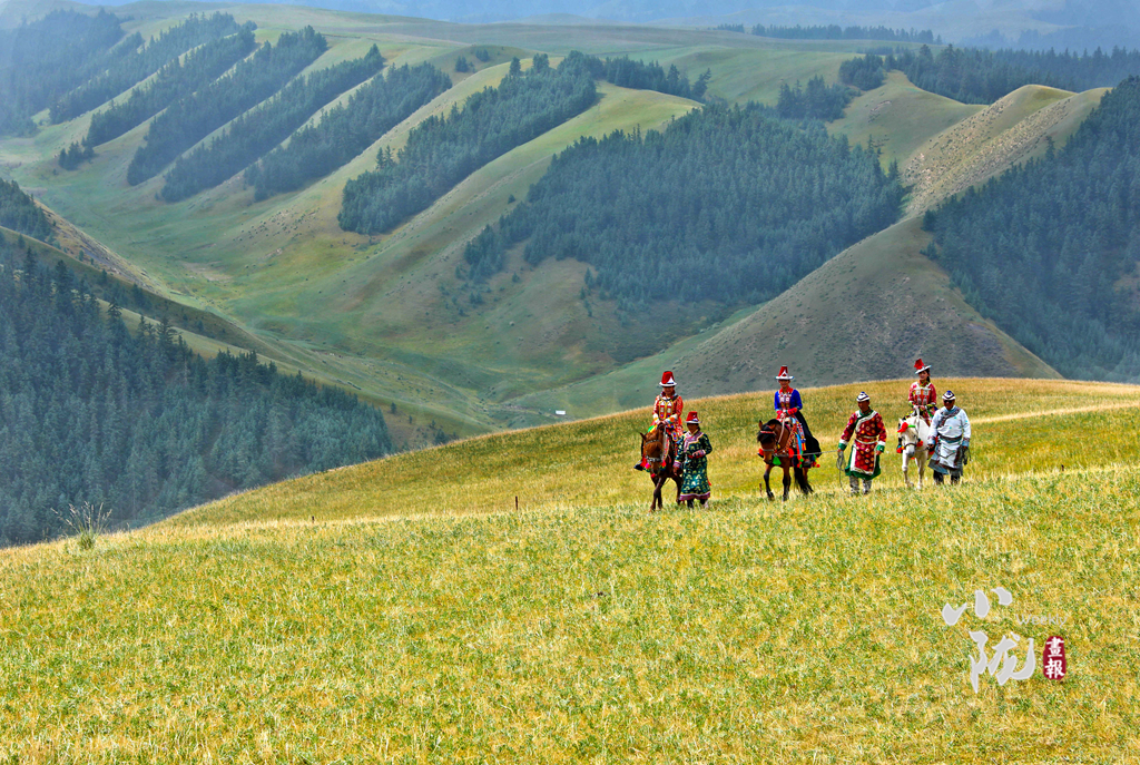 【小隴畫報·144期】張掖肅南:民族風從草原來
