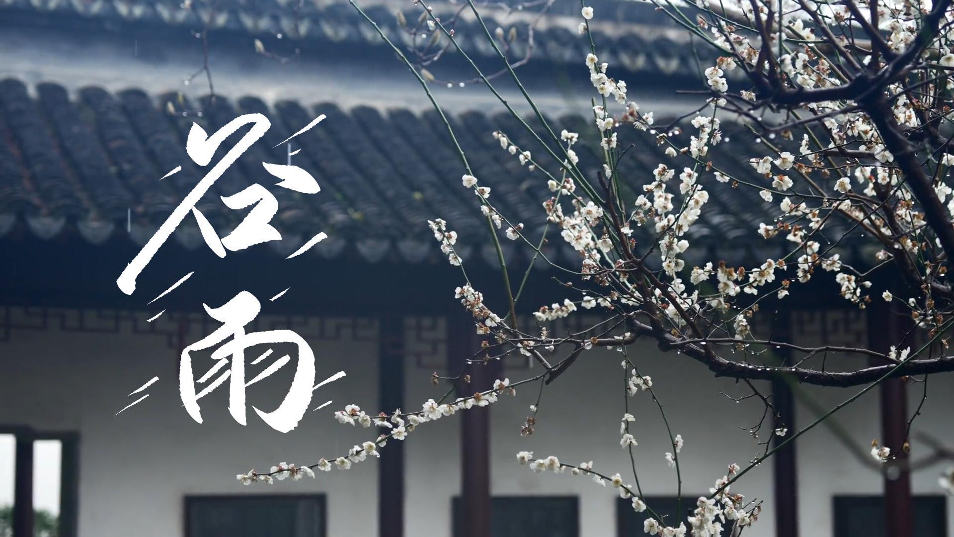 【節(jié)氣里的大美甘肅】谷雨，春天的最后一次回眸