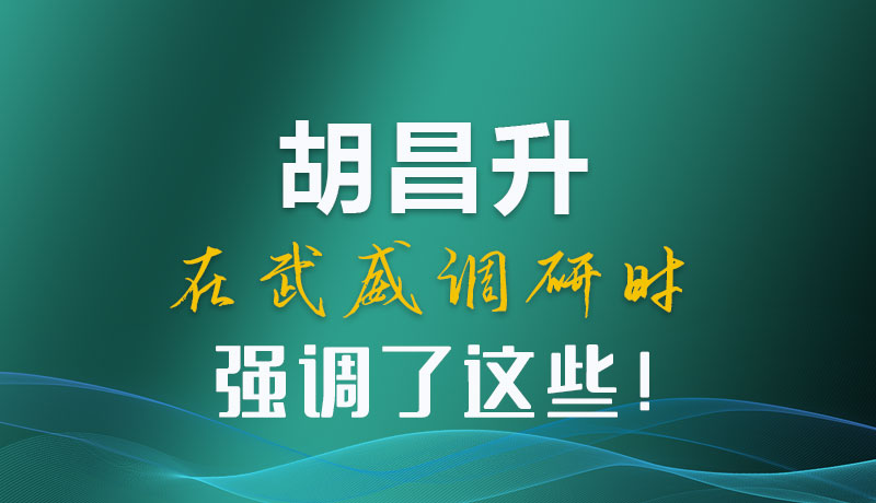圖解|胡昌升在武威調(diào)研時(shí)強(qiáng)調(diào)了這些！