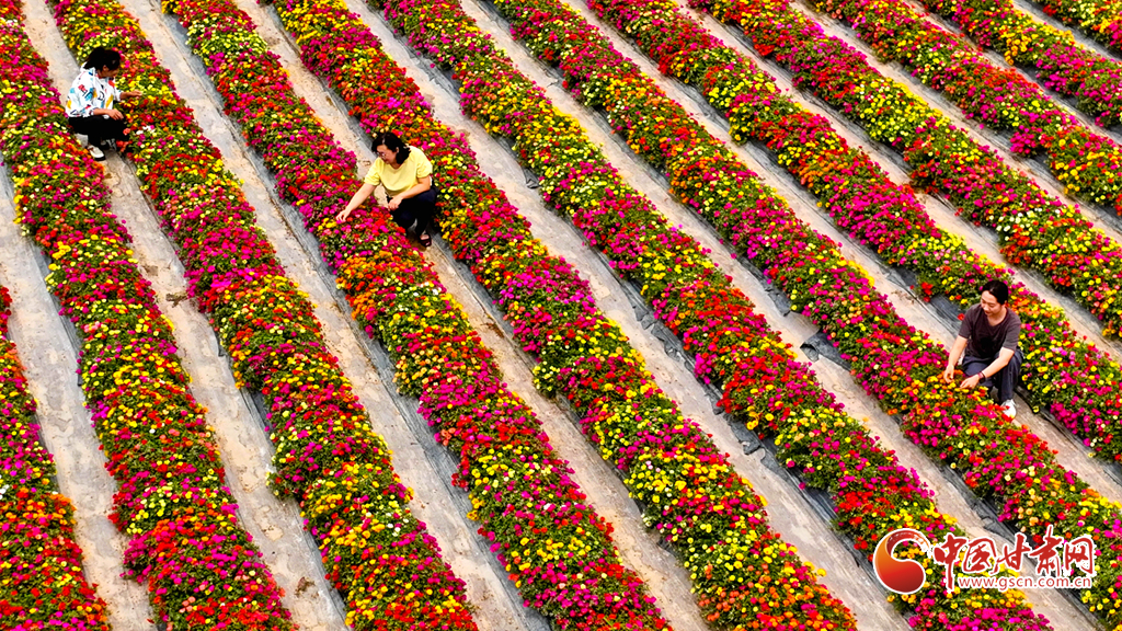 美麗產(chǎn)業(yè)助力鄉(xiāng)村振興