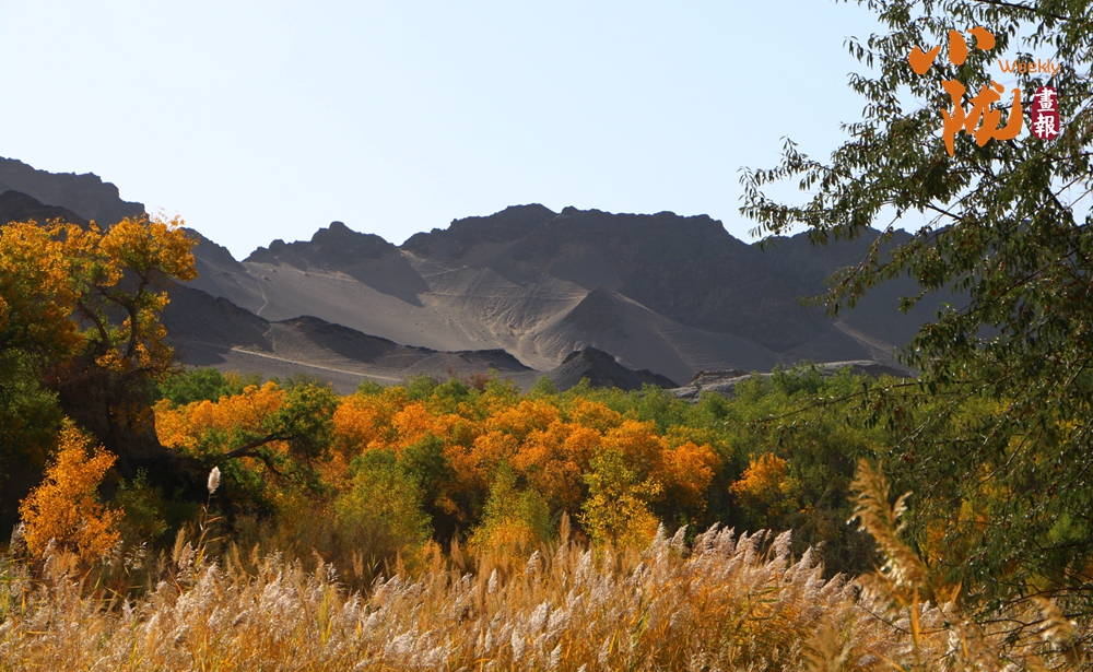 阿克塞：沙漠綠洲胡楊峽的絢麗秋色