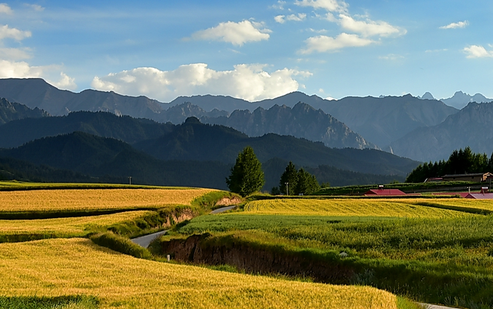 多彩民樂(lè) 詩(shī)意盎然的秋日畫(huà)卷