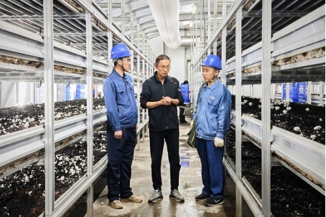 國(guó)網(wǎng)慶陽(yáng)供電公司：電力“把脈”護(hù)生產(chǎn) 菌菇飄香助振興