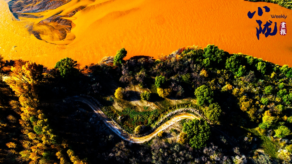 民勤 千頃濕地臥戈壁 續(xù)寫生態(tài)新畫卷